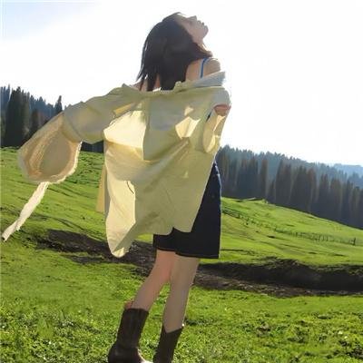好莱坞结局